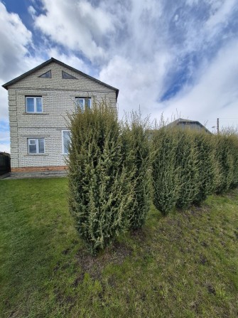 Продам будинок за хорошу ціну - фото 1