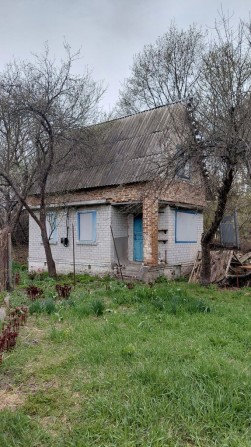 Продаж дачі  м.Чернігів,  Урочище Святе - фото 1