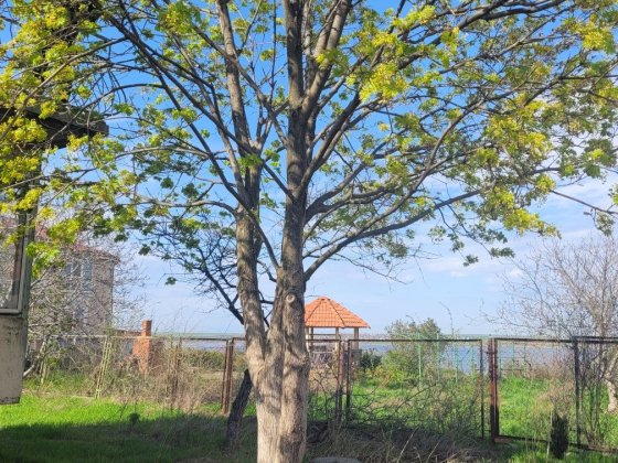 Капитальный дом  Нерубайское Нати с прямым видом на лиман.