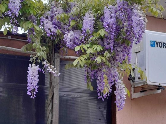 Будинок з АГВ, не залежить від світла, 8 км від Одеси.