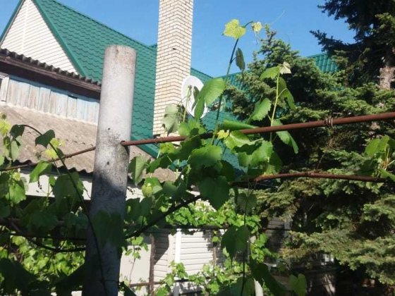 Дом двухэтажный с подвалом Глобине