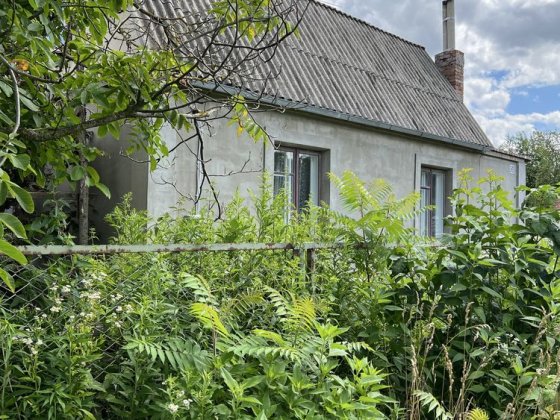 Продам дачу в Камяній горі Костополь