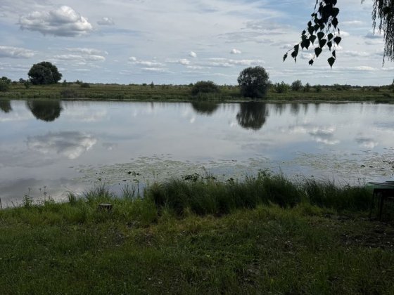 Дачний будиночок, озеро Глушец Чернігів