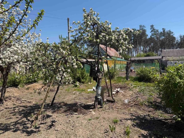 Продам будинок в шикарному місці - фото 1