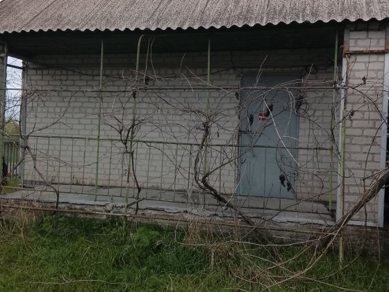 Здам или продам дачу Павлоград