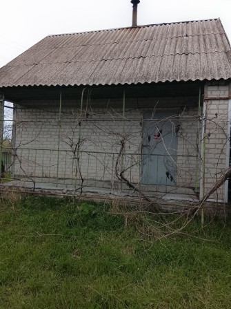 Здам или продам дачу - фото 1