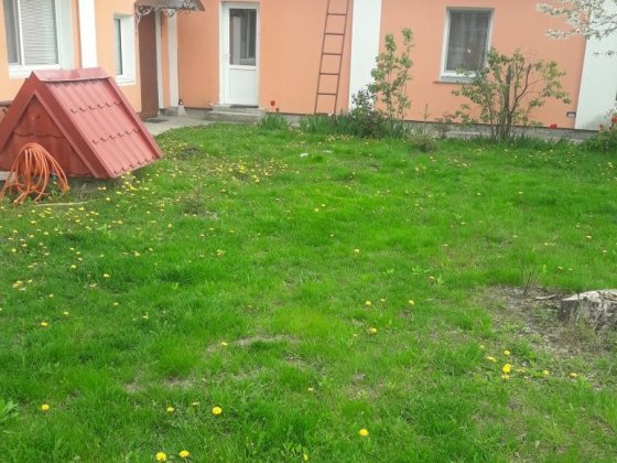 Сдам в аренду дом Новые Петровцы
