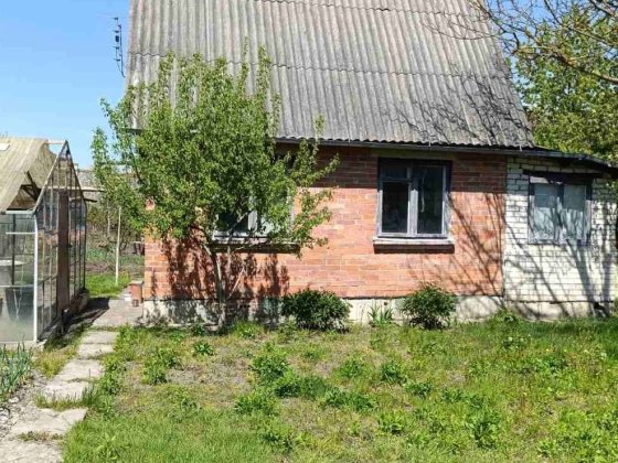Продам дачу в Новоукраїнці Новая Украинка