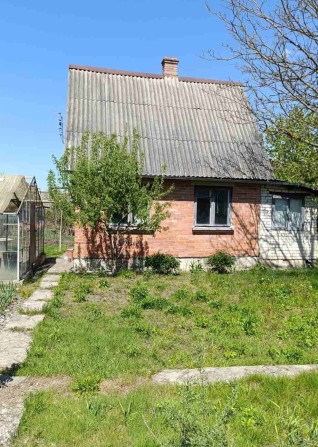Продам дачу в Новоукраїнці - фото 1