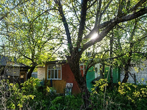 • Продам дачу , поруч ліс! Каменная Гора