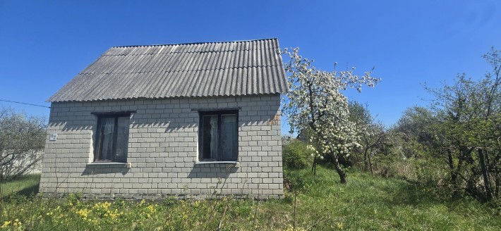 Дача під розбудову в Новій Українці ! - фото 1