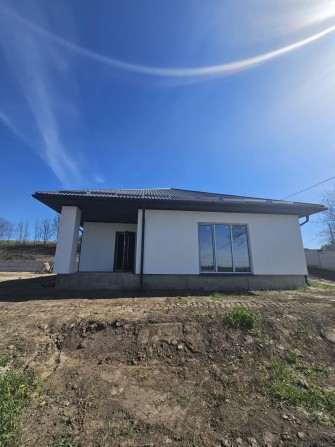 Продаж / Будинок / Великий Житин - фото 1