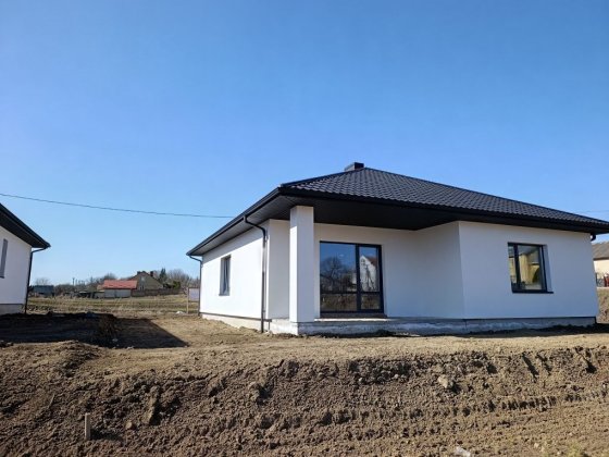 Продаж американки поблизу міста Великий Житин