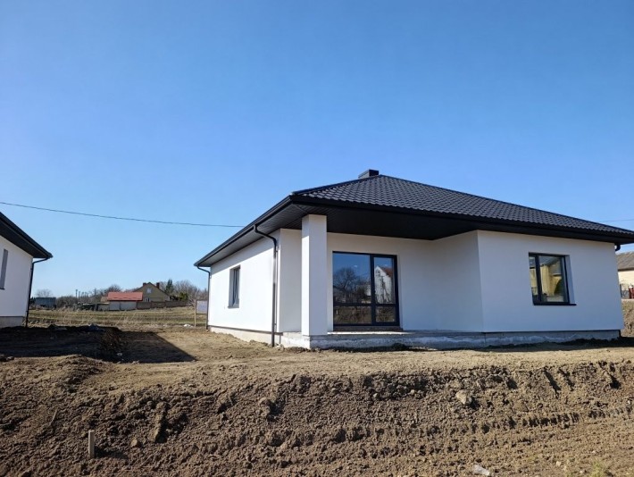 Продаж американки поблизу міста - фото 1