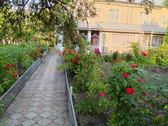 Будинок в м.Збараж продаж