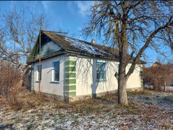 Будинок та ділянка у місті Ланівці, Тернопільська область