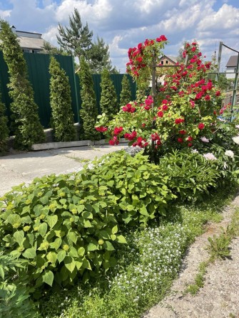 Оренда будинку с Горенка район Пуща Водиця - фото 1