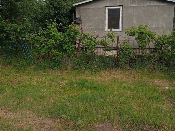 Здається будинок Бориспіль