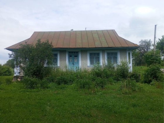 Будинок з господарськими будівлями, 50 соток, Нова Ушиця, с. Івашківці