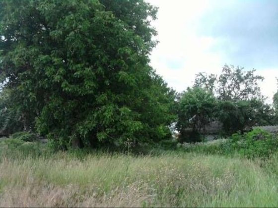 Дві приватизовані земельні ділянки в с. Білозір'я Белозерье