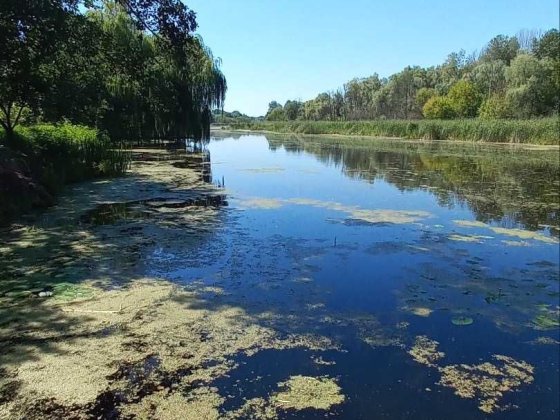 Будинок в еко-районі, біля р.Вільшанки Лозивок