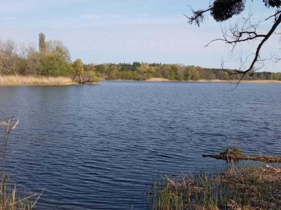 Продам дачний будинок в СТ Фотон Лозівок