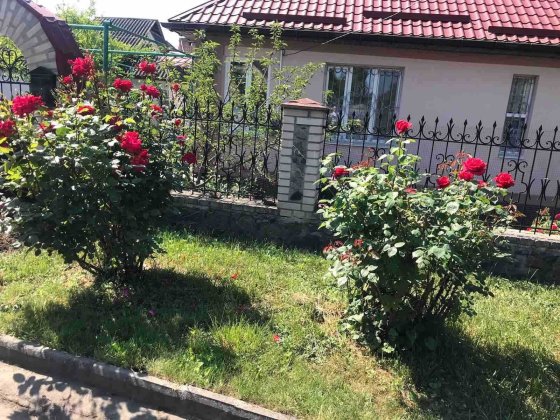 Продаж будинку по вул. Шевченка | м. Тальне Тальное