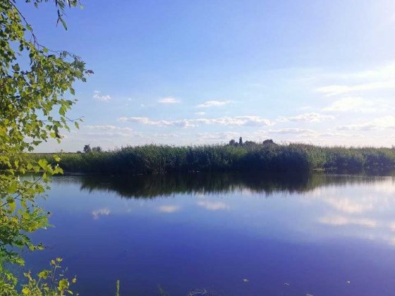 Продажа дачі в СТ Славутич с.Коробівка Коробовка
