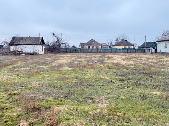 Продаж домоволодіння - 2 будинки поблизу Черкас (с. Дубіївка) Дубіївка