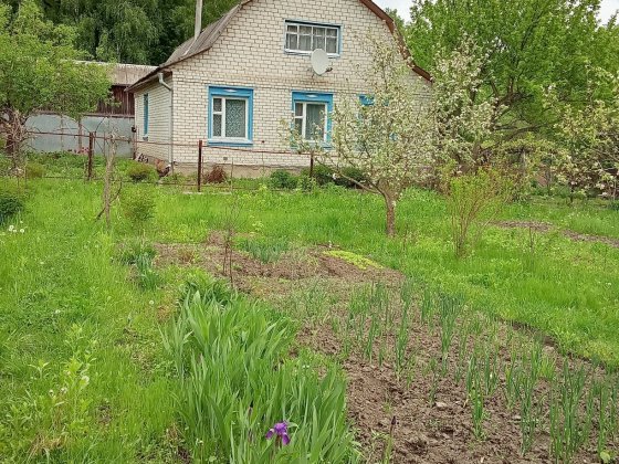 Дереа'яний будинок зі всіма зручностями. З великою ділянкою землі. Надвірні будівлі Новгород-Северский