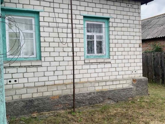 Продам дачний будинок в мальовничому місті Остер