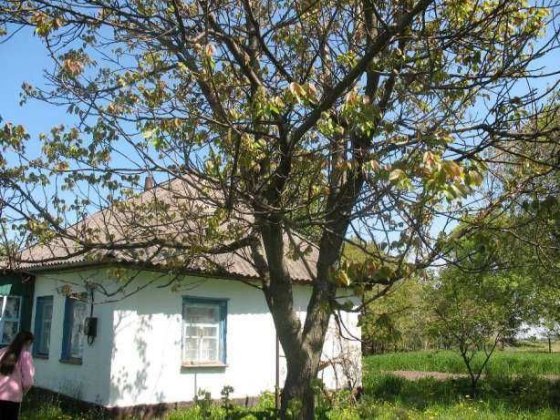 Продаж будинку с. Скрипчин з ділянкою 40 соток Козелець