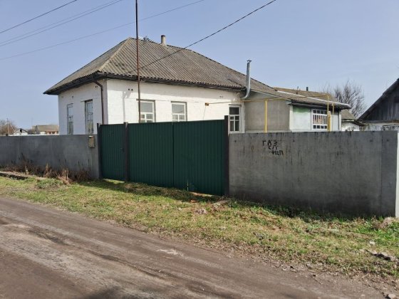 Продам будинок (м. Борзна) Борзна