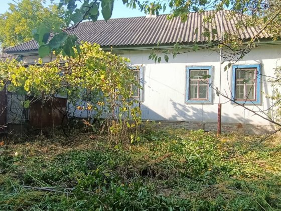 Будинок в Олишівці Олишевка
