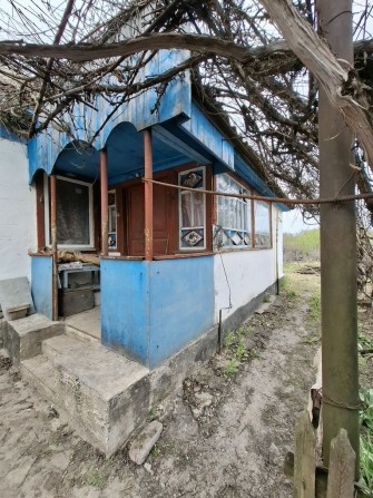 Продаж будинку в с .Олишівка  35 км від м Чернігів - фото 1
