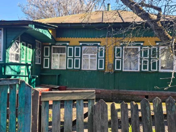 Продам будинок на березі р.Сейм Батурин