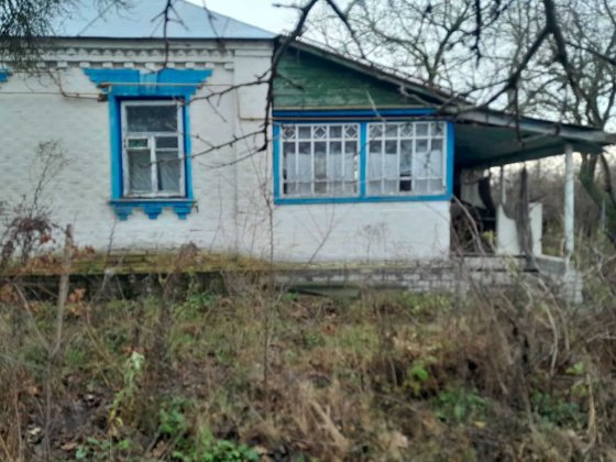 Продаж будинку с. Нова Басань Нова Басань