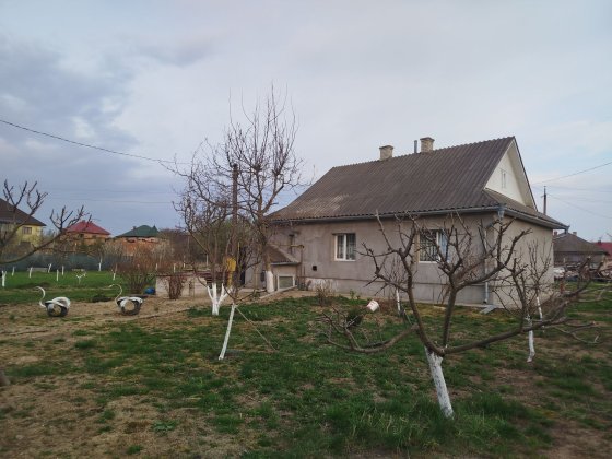 Будинок в місті Сторожинець, земля, сад, краєвид Сторожинец