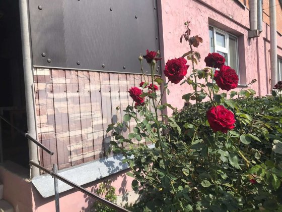 Оренда будинку, Кобищани Полтава