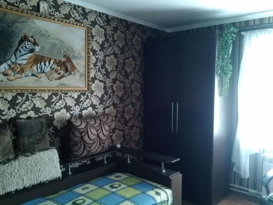 Оренда будинка на тривалий термін, Діївка 1, 10хв пішки до жм Комунар, вул. Орбітальна 173 Дніпро