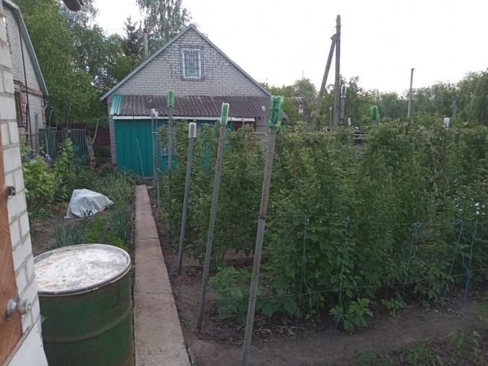 Продам дачу Волнянский р-н - фото 1