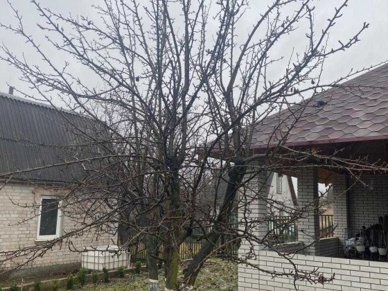 Продається дача с.Вільнокурянове Вільнянський район. Розглядаються варіанти обміну. Вольнокурьяновское