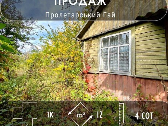 Приватизована дача в Пролетарському Гаю всього за 2800! A11 Чернігів