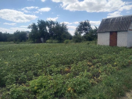 Дача в Степанівка.. Сумы