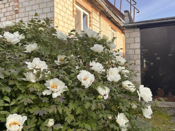 Продаж просторого будинку у місті Вінниця. Винница