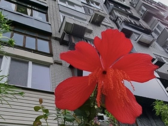 Всегда свет! Элитный дом! Центр Днепра. В жизни лучше. 80 кв м. Риелторы не звоните.