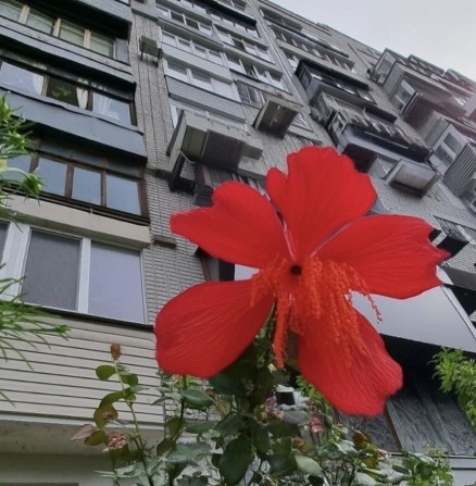 Всегда свет! Элитный дом! Центр Днепра. В жизни лучше. 80 кв м. Риелторы не звоните. - фото 1