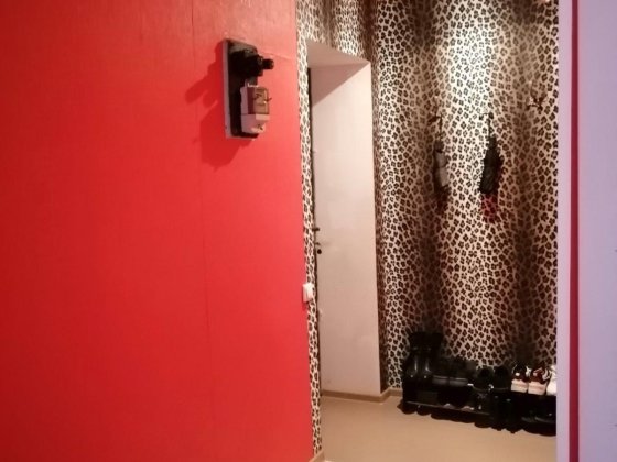 Сдам 1 комнатную квартиру в ЦЕНТРЕ  БЕЗ КОМИССИИ Запоріжжя