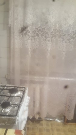 Сдам 1 к квартиру - фото 1