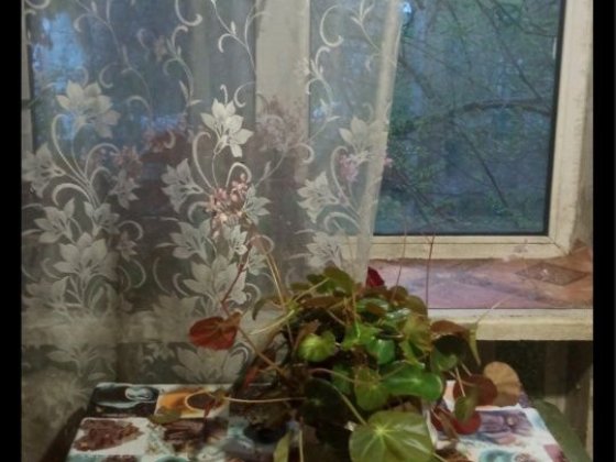 Сдам  актуальную отдельную комнату  просп.Богдана Хмельницкого, мужчинам. Дніпро